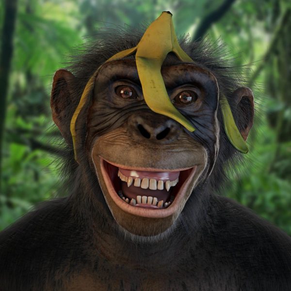 maxime-forveille-monkey-laugh-e1530793830487