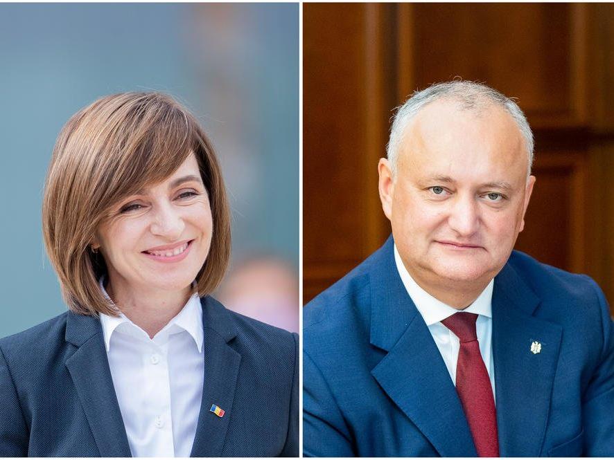 vesti