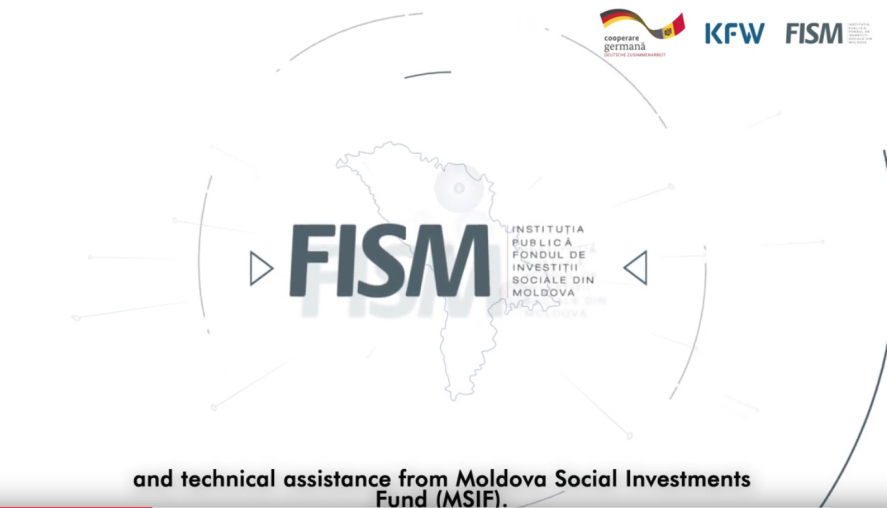fism