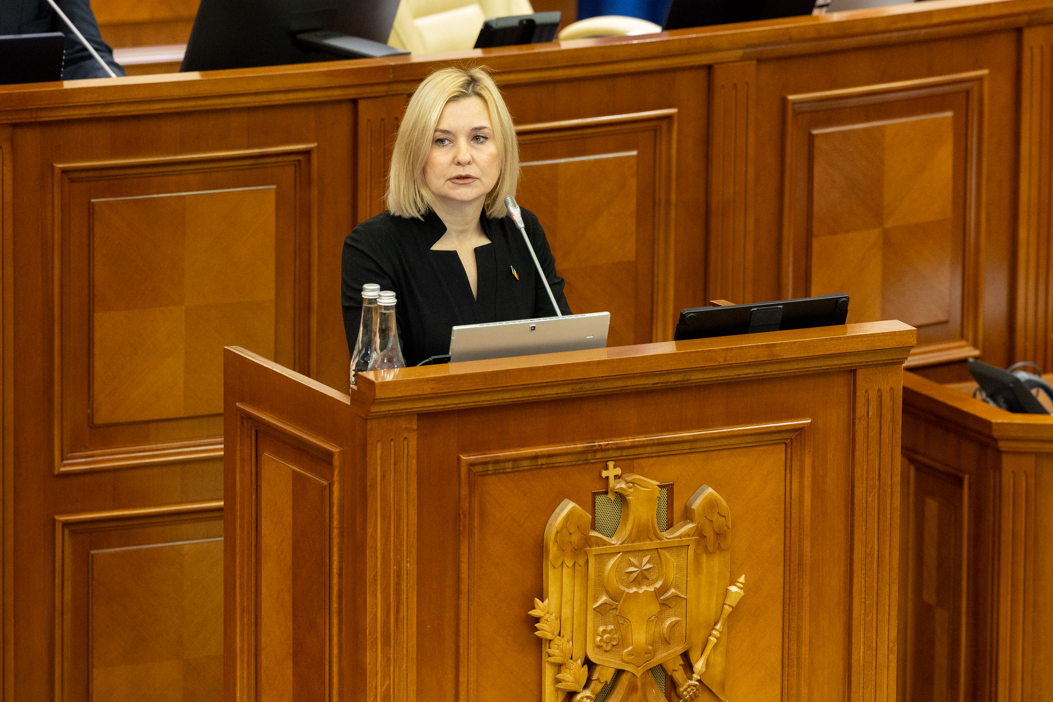 54141652545_be0915bcb7_k