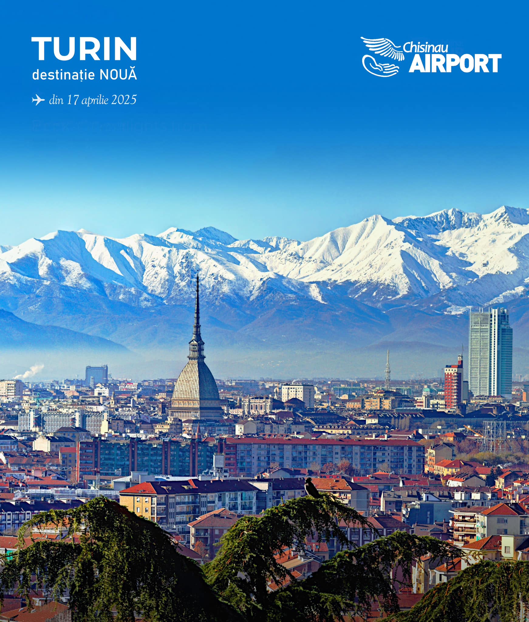 475289688_122150810456069131_271508633744377210_n