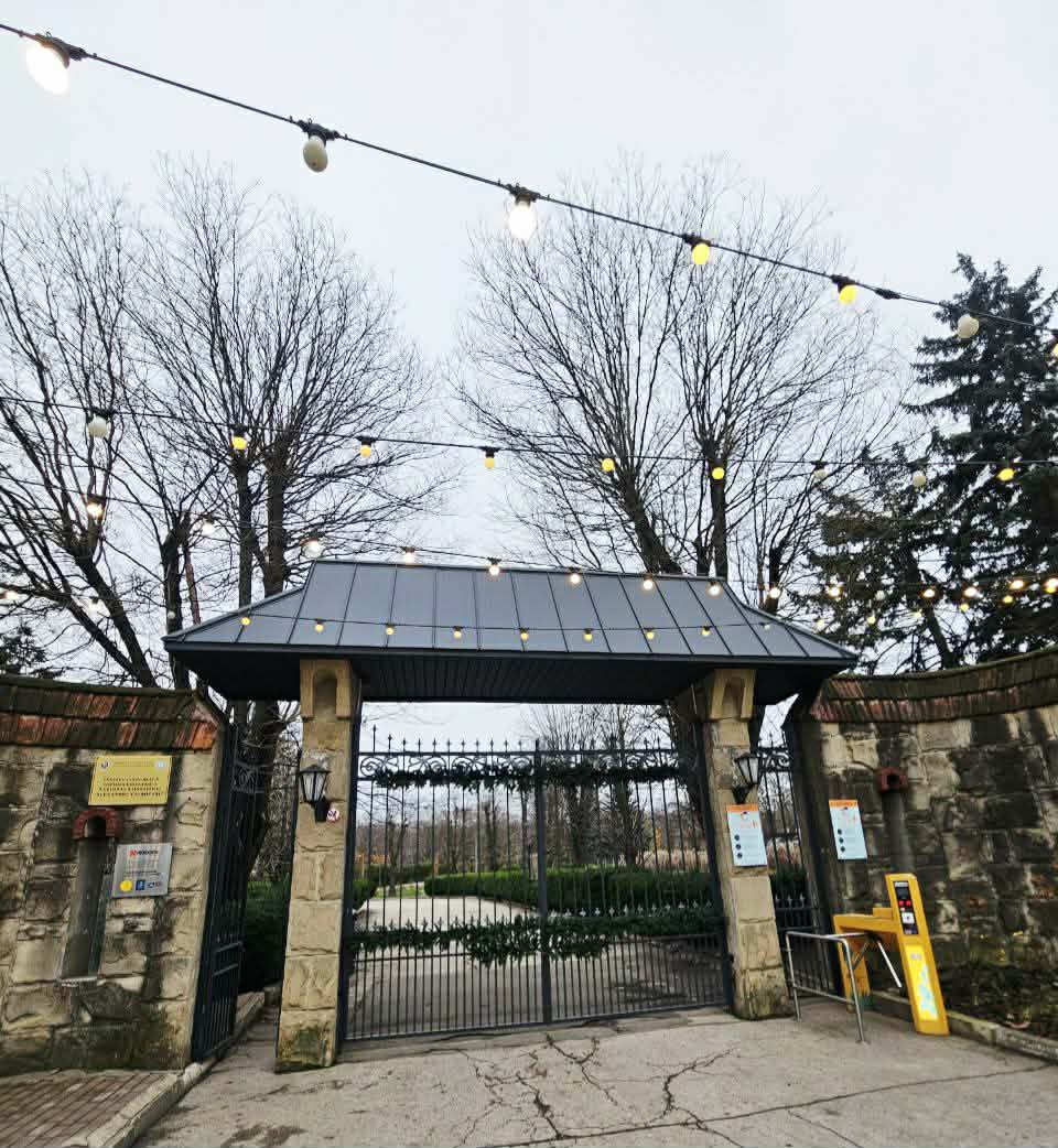 591597890_2060032044811406_283523114986852377_n