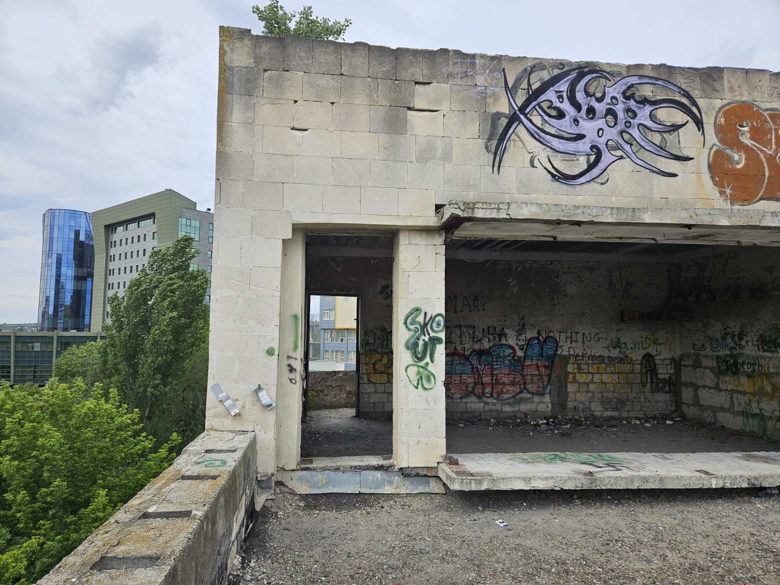 IMG-688bfe1fc087a153ffa06297cdd9b18d-V